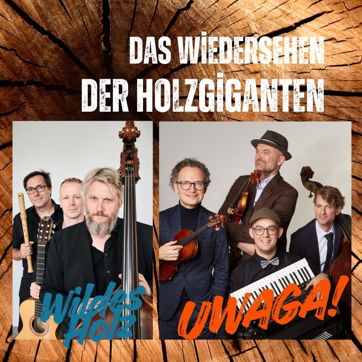 Holzgiganten Das Wiedersehen der Holzgiganten – Uwaga! trifft Wildes Holz